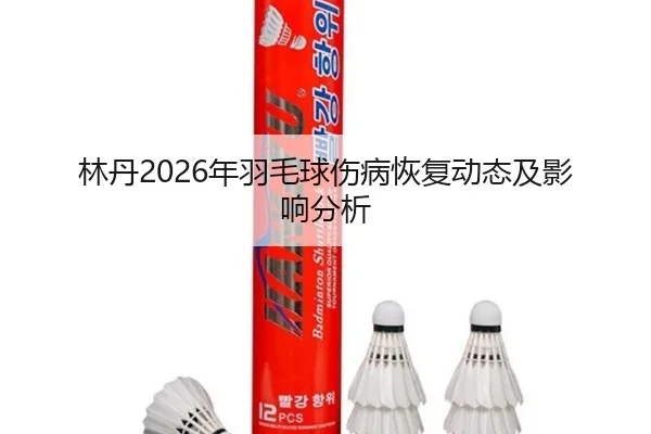 林丹2026年羽毛球伤病恢复动态及影响分析