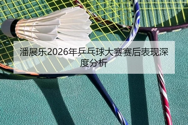 潘展乐2026年乒乓球大赛赛后表现深度分析